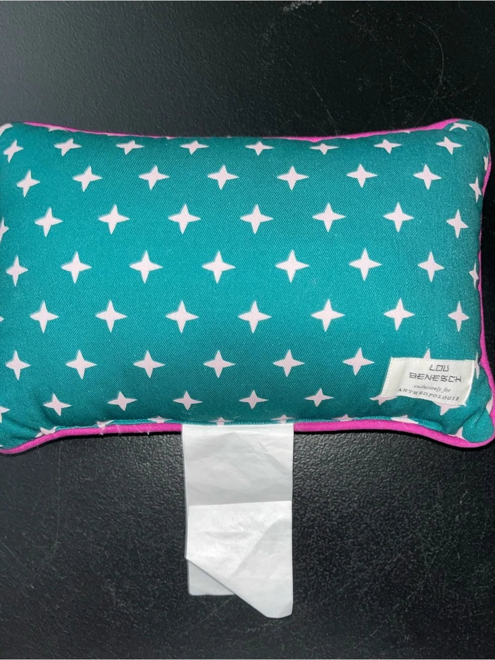 Lou Benesch X Anthropologie Miniature Stargazer embroidered pillow